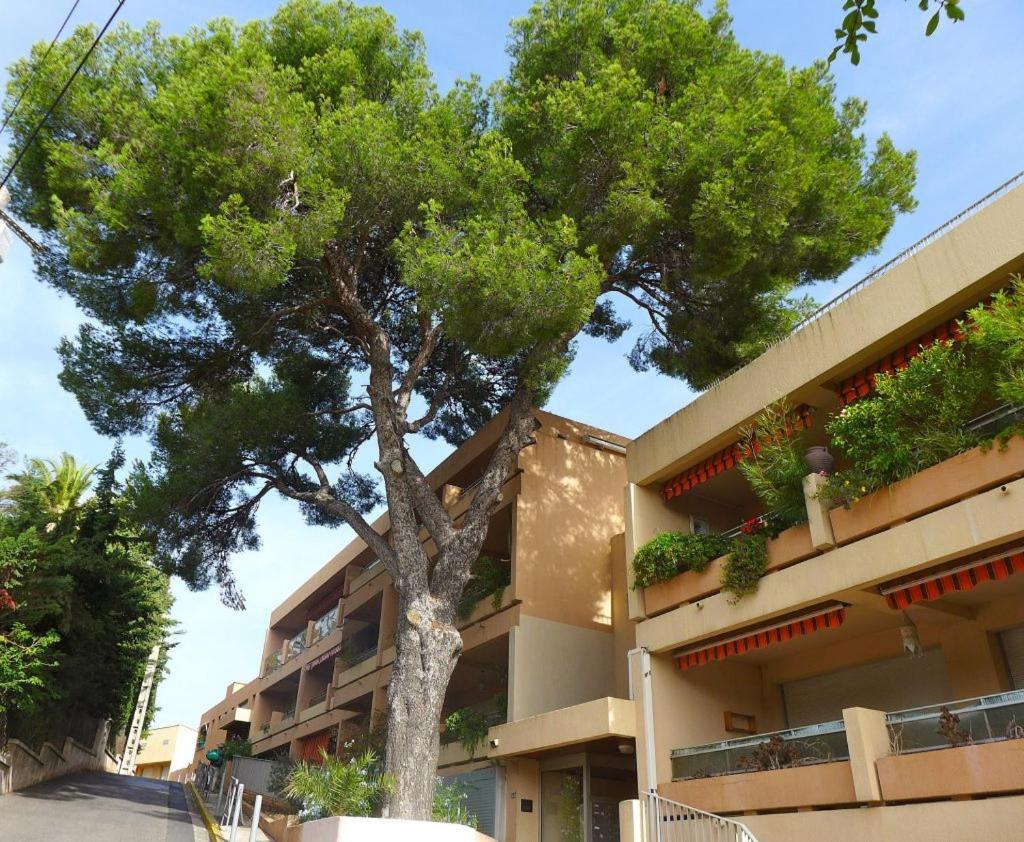 Studio Bandol Centre 2 Etoiles Ideal Emplacement Екстер'єр фото
