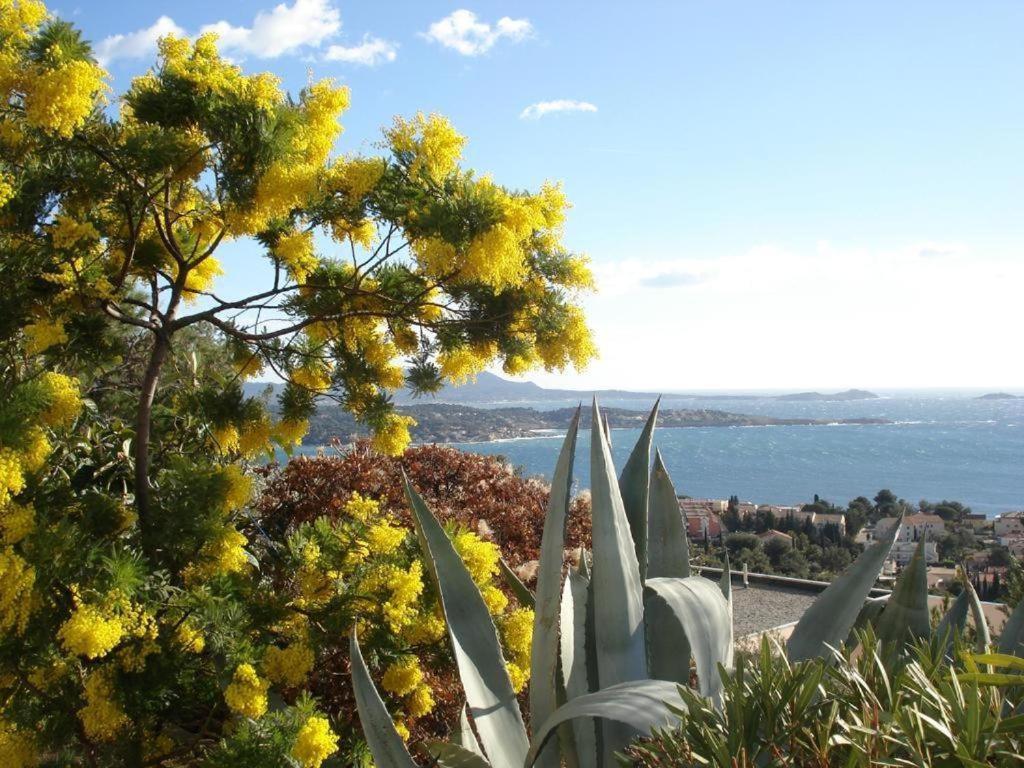 Studio Bandol Centre 2 Etoiles Ideal Emplacement Екстер'єр фото